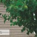 Сайдинг Ю-Пласт TIMBERBLOCK Пихта (Тимберблок) Cахалинская купить в Саратове