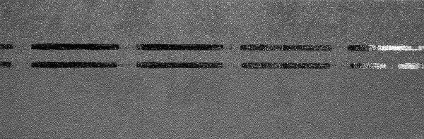 Коньково-карнизная черепица Docke Premium, черника купить в Саратове