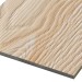 Фиброцементные панели FCSPRO Decor Wood Лиственница купить в Саратове